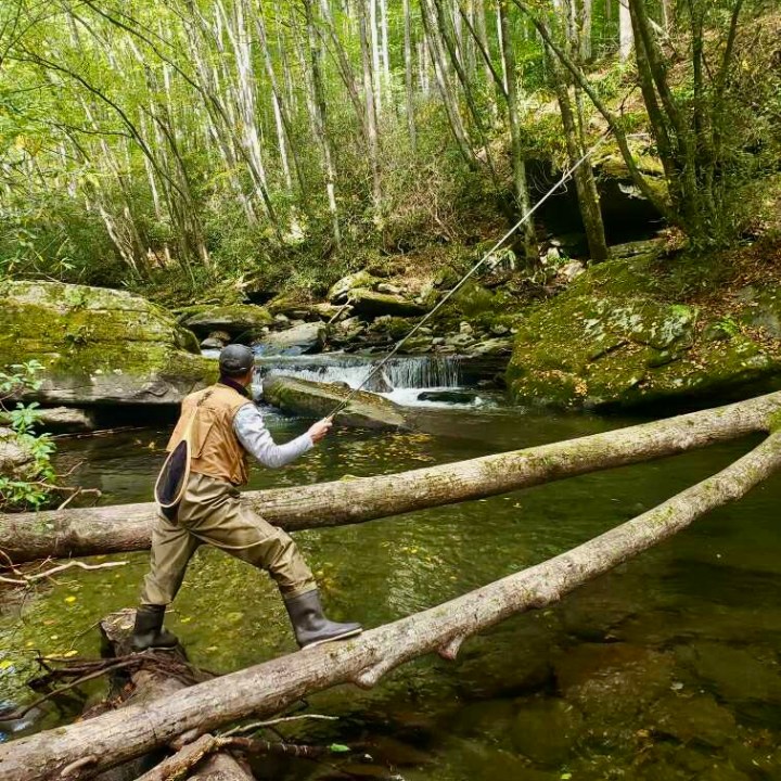 a person perched on a tree branch