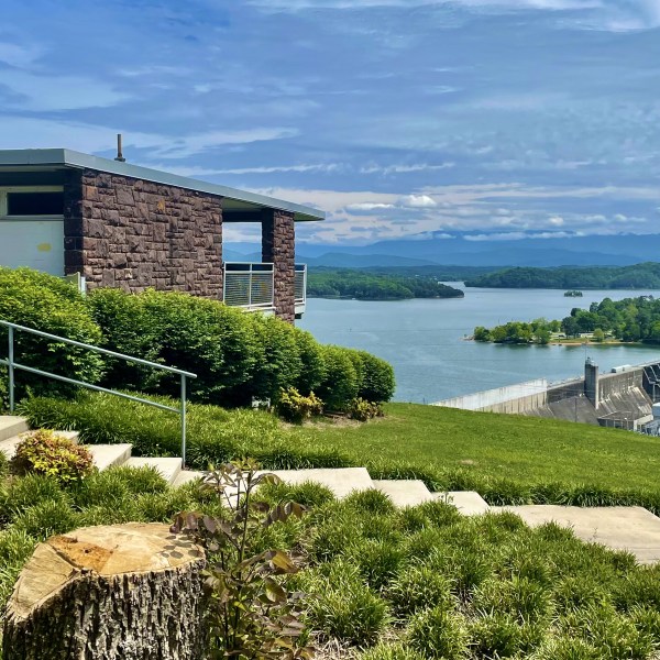 a garden with water in front of a building
