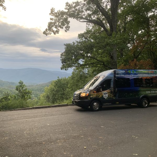 a truck parked on the side of a road