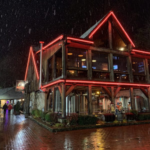 a group of people on a rainy night