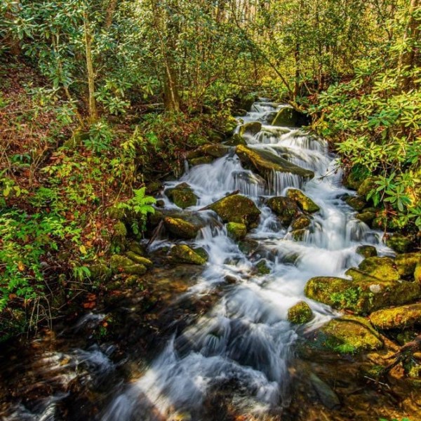 a large waterfall in a forest