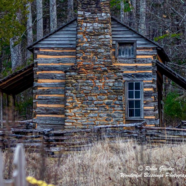 a house with trees in the background
