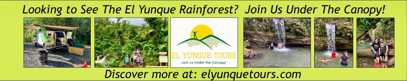 Looking to see the El Yunque Rainforest? Join us under the canopy! Discover more at: elyunquetours.com