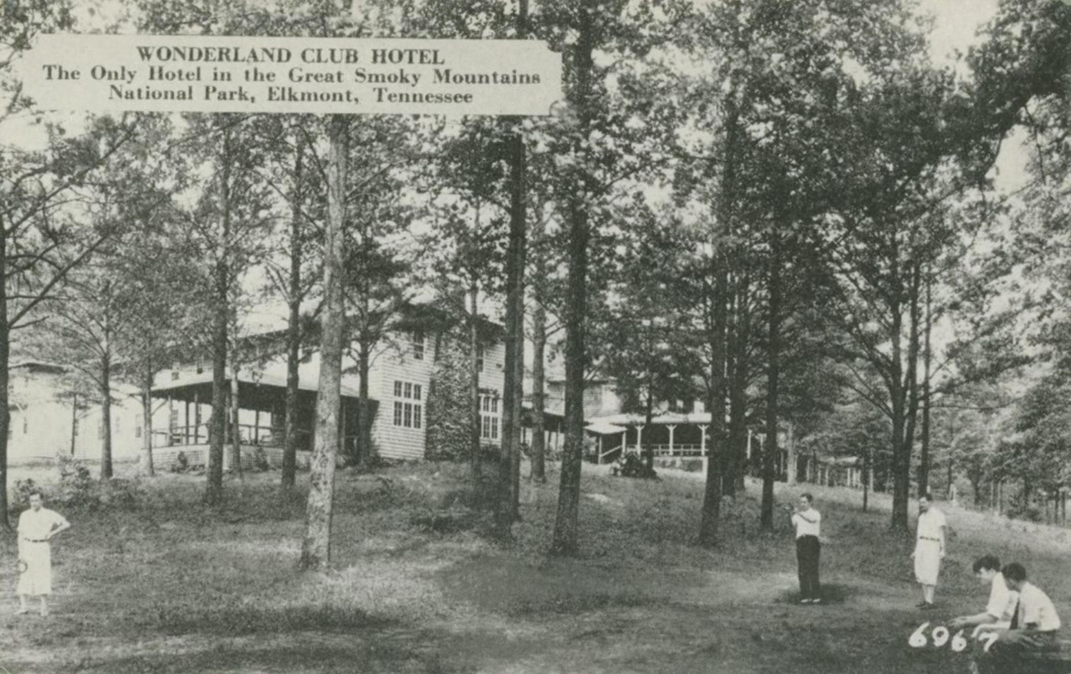 a group of people in a forest